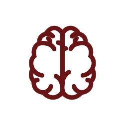 cerebro