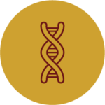 genetica