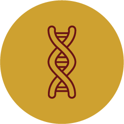 genetica