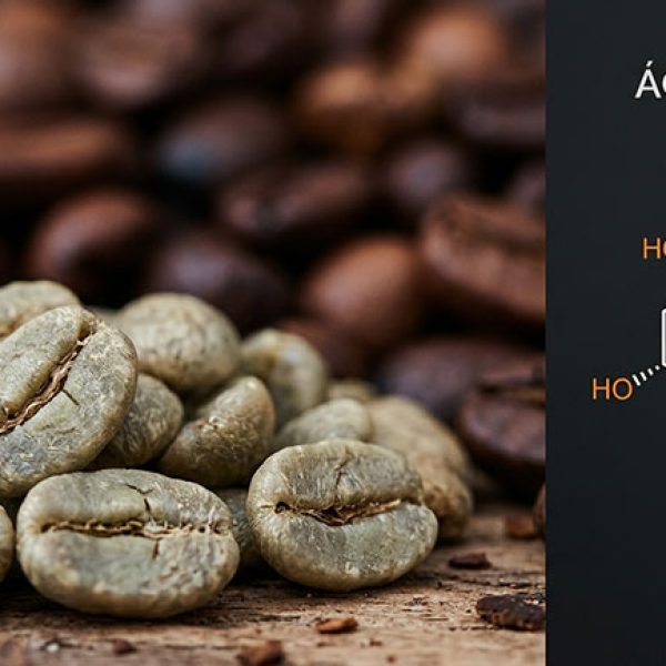 Granos de café verde y tostado representando el ácido clorogénico como compuesto bioactivo — NutriPsicoGen