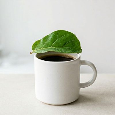 Taza de café negro representando los efectos hepatoprotectores del café sobre el hígado — NutriPsicoGen